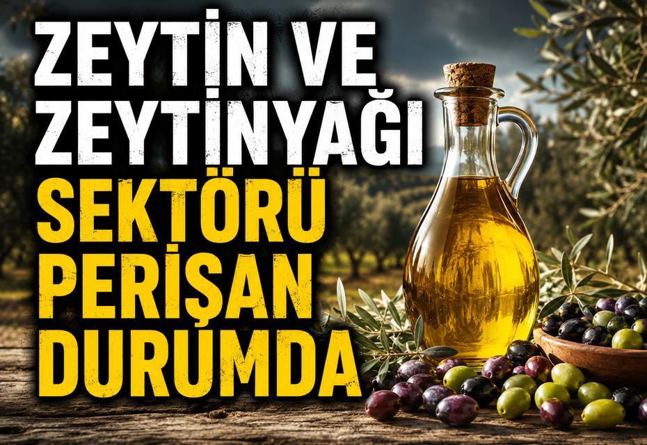 “Zeytin ve zeytinyağı sektörü perişan durumda”