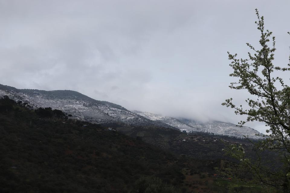 AYNI KAREDE HEM BAHAR, HEM KIŞ