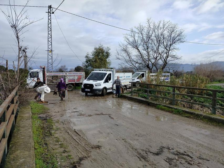 Söke’de aşırı yağışlar sonrası tarım alanlarında hasar tespiti