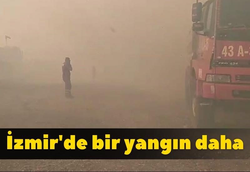 İzmir'de bir yangın daha