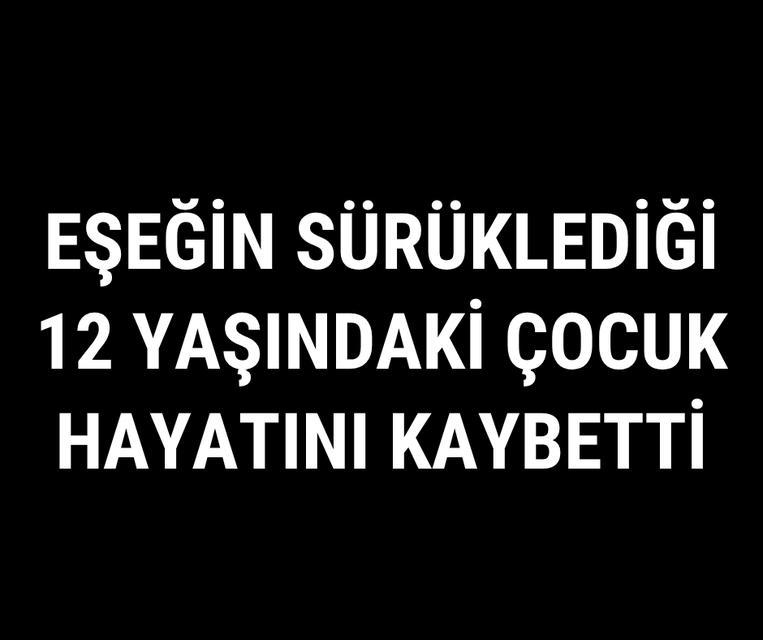 Eşeğin sürüklediği 12 yaşındaki çocuk hayatını kaybetti