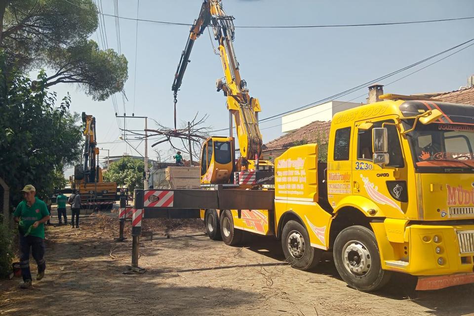 Efeler'in mesire alanı hem temiz hem güvenli