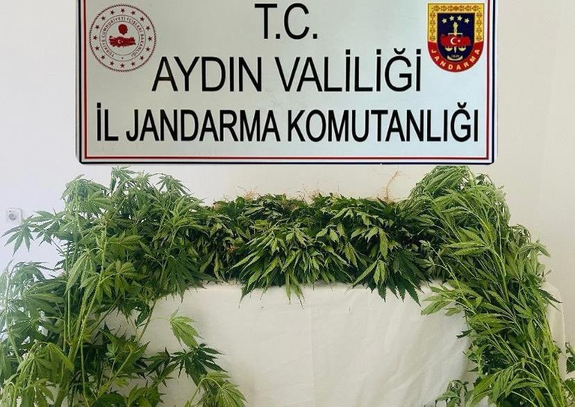 Aydın’da uyuşturucu operasyonlarında 17 şüpheli yakalandı