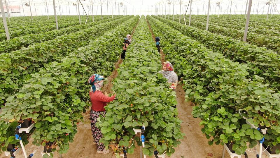 TARIMI, TEKNOLOJİYLE BİRLEŞTİRDİ YAŞITLARINA ÖRNEK OLDU