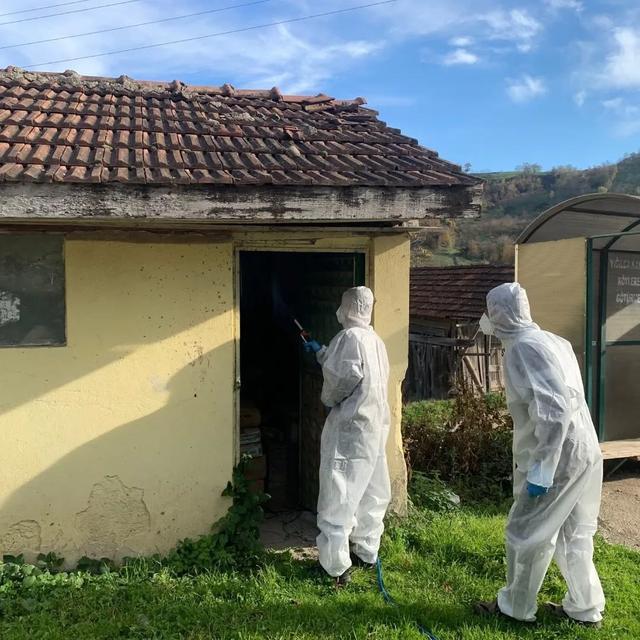 Kahverengi kokarca ile kışlak mücadelesi devam ediyor