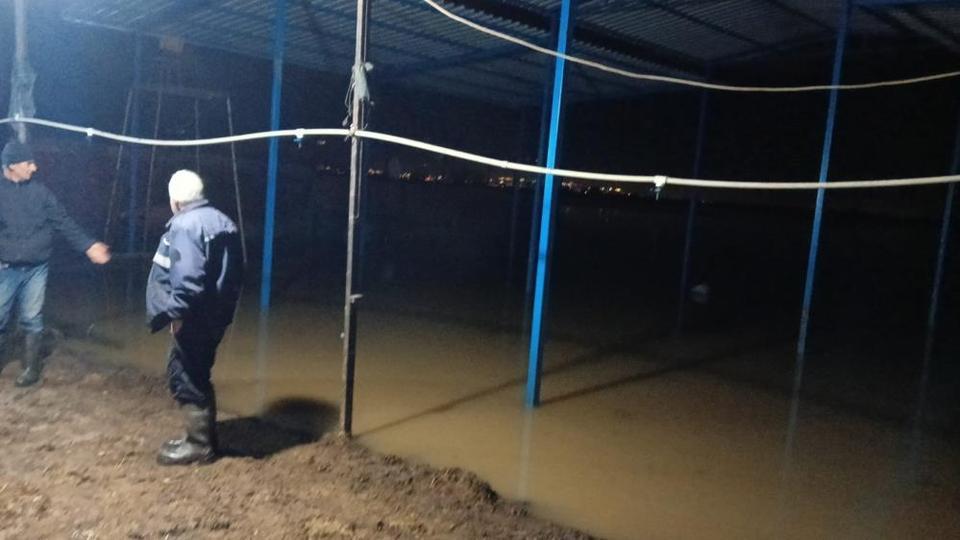 Koçarlı’da su baskını sonrası hayvan tahliyesi sürüyor