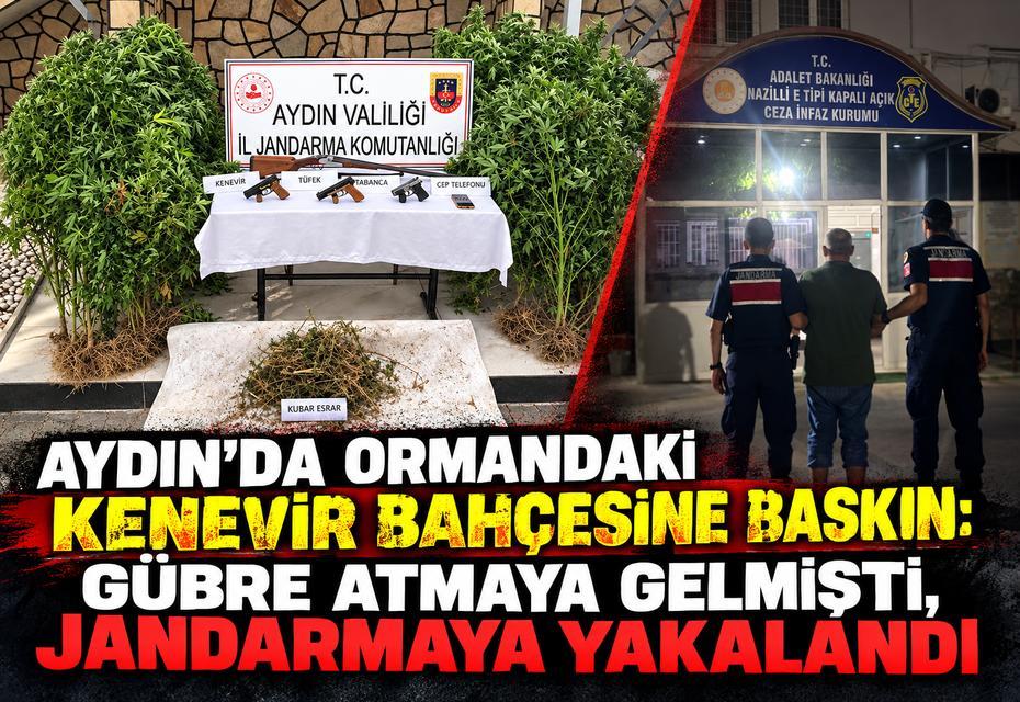 Ormandaki bahçesine gübre atmaya gelmişti, jandarmaya yakalandı
