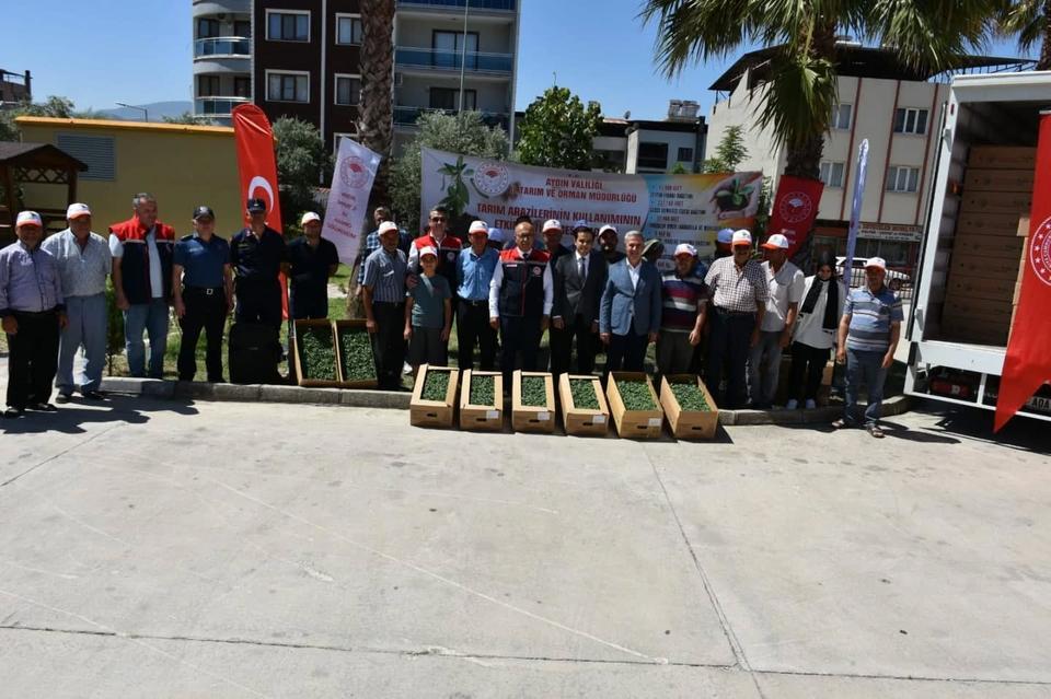 Aydın’da atıl araziler üretime kazandırılıyor