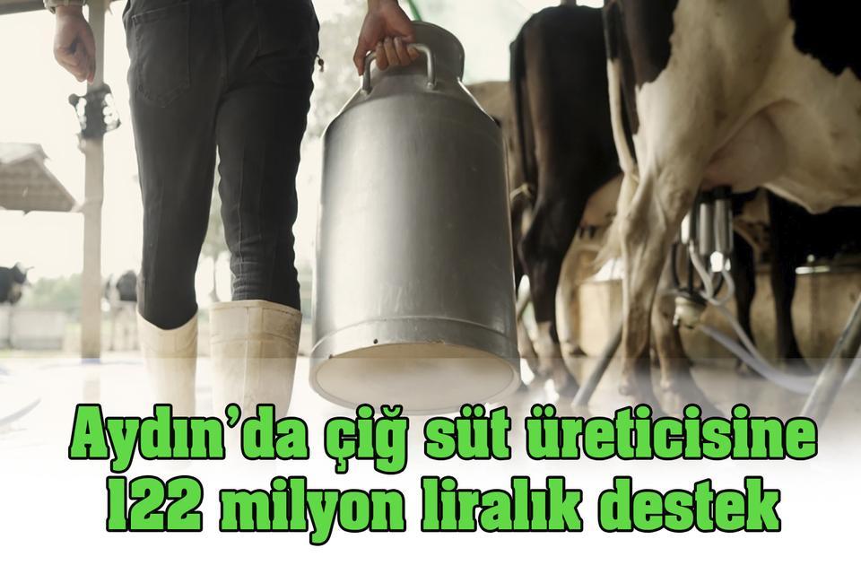 Aydın’da çiğ süt üreticisine 122 milyon liralık destek