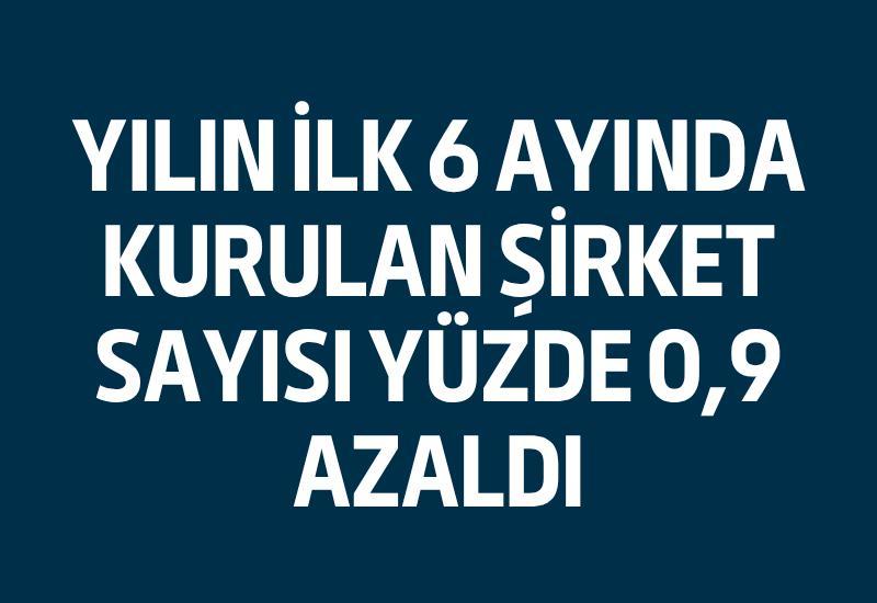 Yılın ilk 6 ayında kurulan şirket sayısı yüzde 0,9 azaldı