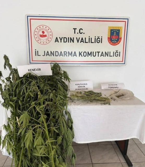Aydın'da uyuşturucu operasyonu! Evden kenevir ve esrar çıktı