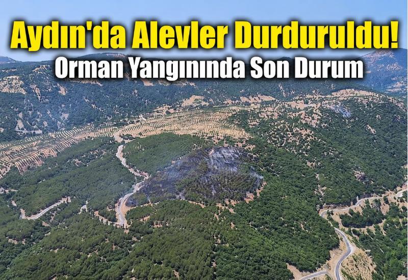 Aydın'da alevler durduruldu! Orman yangınında son durum