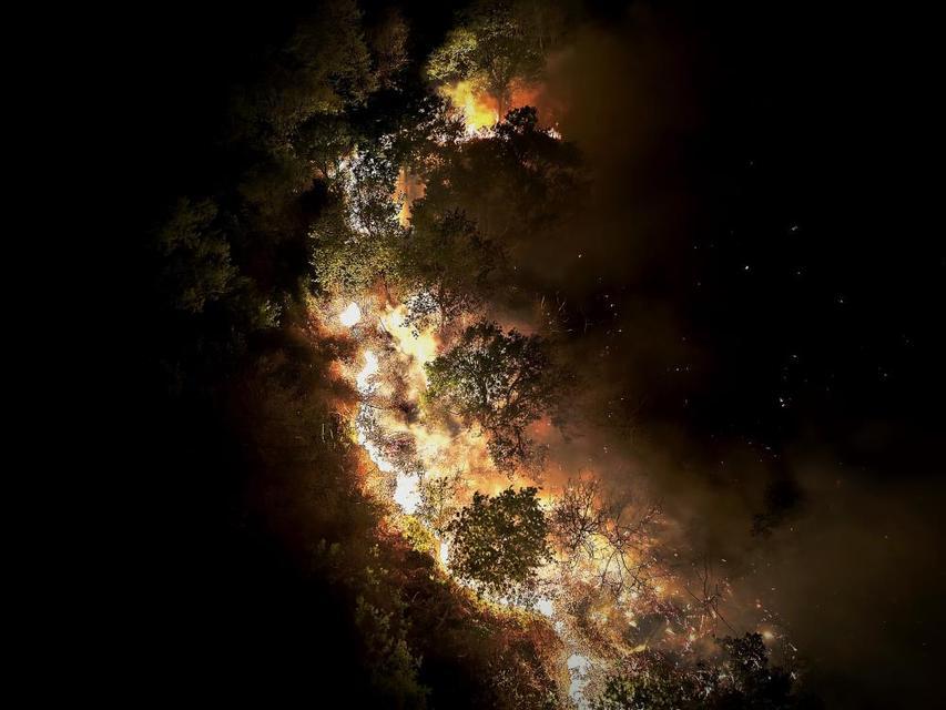 Saatlerce süren orman yangını gece yarısı kontrol altına alındı