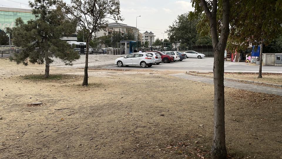 ''Kıskançlık" kavgasında genç kız bıçaklandı