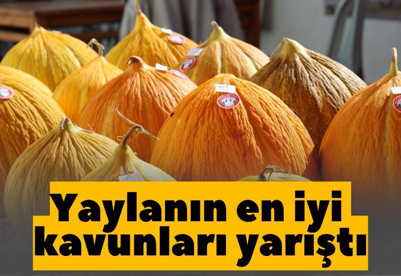 Yaylanın en iyi kavunları yarıştı