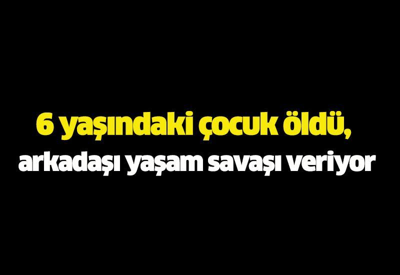6 yaşındaki çocuk öldü, arkadaşı yaşam savaşı veriyor