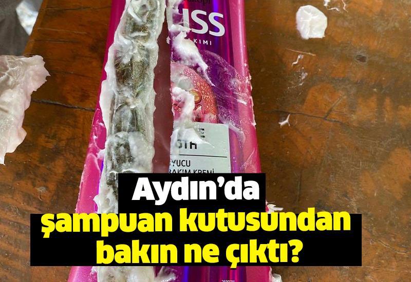 Aydın’da şampuan kutusundan bakın ne çıktı?