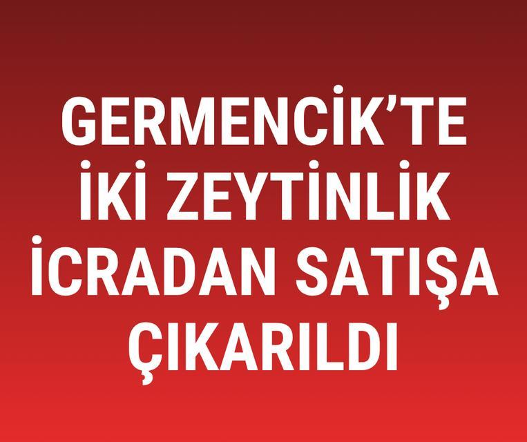 Germencik’te iki zeytinlik icradan satışa çıkarıldı