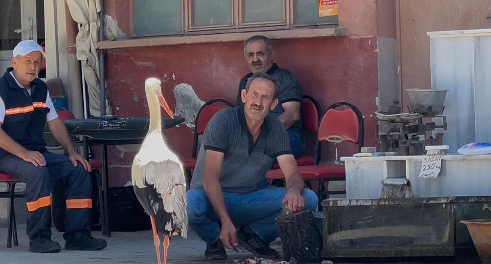 Balıkçı Ahmet ile leyleğin 10 yıllık kahvehane randevusu