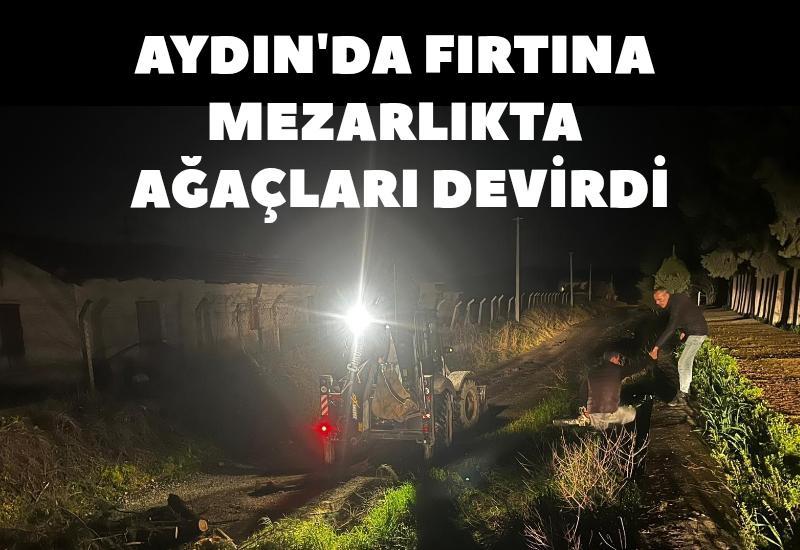 Aydın'da fırtına mezarlıkta ağaçları devirdi