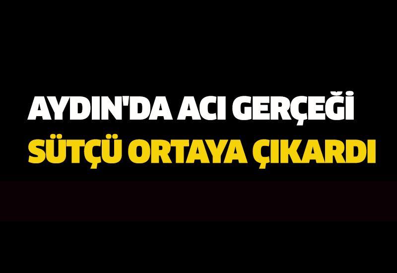 Aydın'da acı gerçeği sütçü ortaya çıkardı