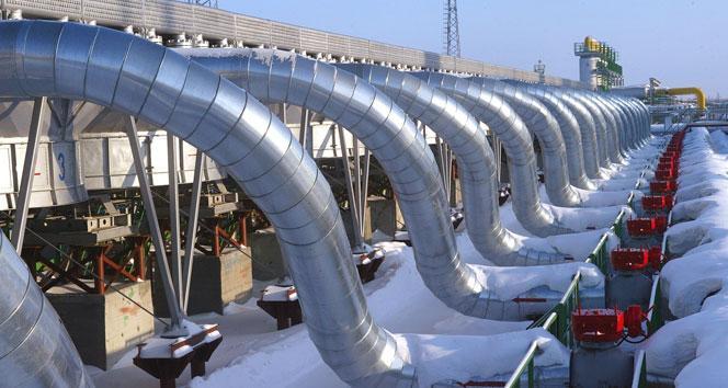 Resmi Gazete'de yayımlandı: Doğalgaz için arazilere el konulacak