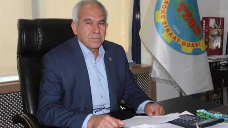 Aydın'da bitkiler strese girdi