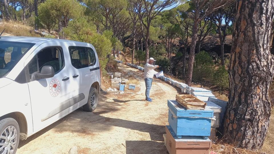 Bozdoğan'da arıcılara yönelik destek çalışmaları sürüyor