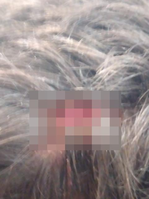 Olay, Efeler Ortaokulu'nda meydana geldi. Edinilen bilgiye göre, okulda eğitim gören 7'inci sınıf öğrencisi A.T.. bir gün önce henüz bilinmeyen bir nedenle beden eğitimi dersinde sınıf arkadaşları A.P. ve B.A. ile tartıştı.