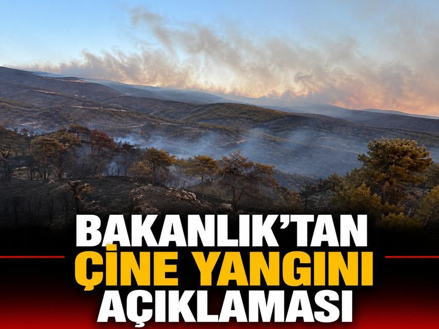 Bakanlık'tan Çine yangını açıklaması