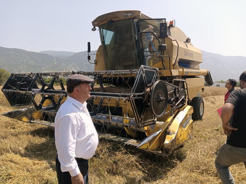 Çiftçi buğday fiyatlarının açıklanmasını bekliyor