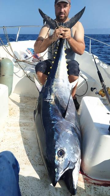 SÖKE'DE AMATÖR BALIKÇININ YAKALADIĞI DEV MAVİ YÜZGEÇLİ ORKİNOS KAYIT ALTINA ALINDI