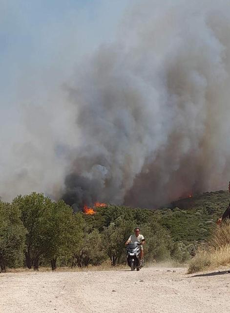 ÇEŞME'DE YANGIN BÜYÜDÜ, 5 UÇAK VE 18 HELİKOPTERLE MÜDAHELE SÜRÜYOR PANİK YAŞANAN BÖLGEDE BAZI EVLER BOŞALTILDI