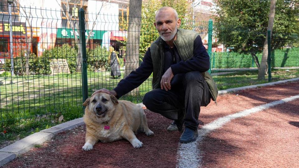 13 yaşındaki obez köpek 'Kız', yürüyüş yaparak zayıflıyor