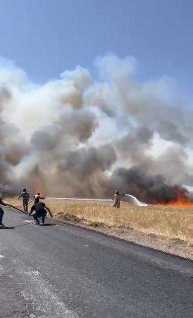 ÇANAKKALE'DE TARIM ARAZİSİNDE YANGIN ÇIKTI