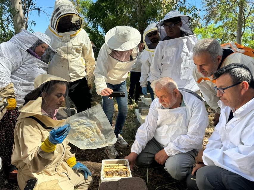 Kütahya'da ana arı ve arı sütü üretimi kursu