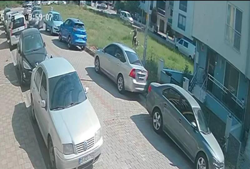 AYDIN'DA SINAVA GİDEN ÖĞRENCİYE KÖPEK SALDIRDI