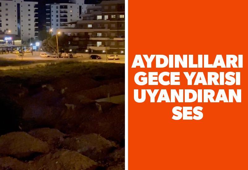 Aydınlıları gece yarısı uyandıran ses