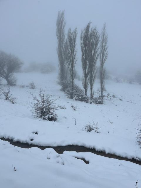 MART SONUNDA KARINCALI DAĞ'DA KAR SÜRPRİZİ BOZDOĞAN BEYAZA BÜRÜNDÜ