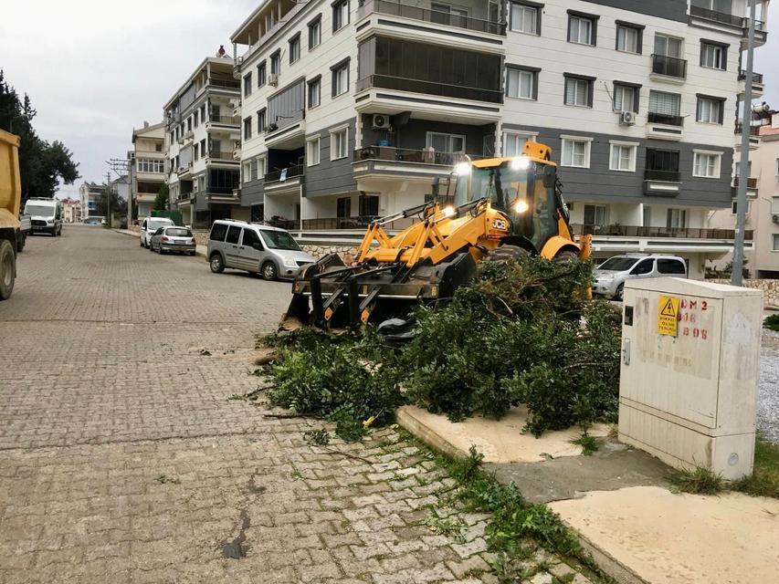 Didim Belediyesi ekipleri her koşulda sahada