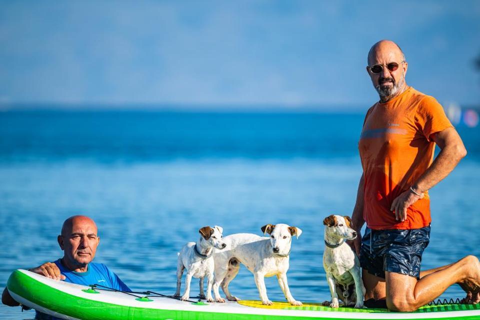Köpekleriyle deniz keyfi