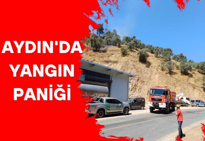 Aydın'da yangın paniği