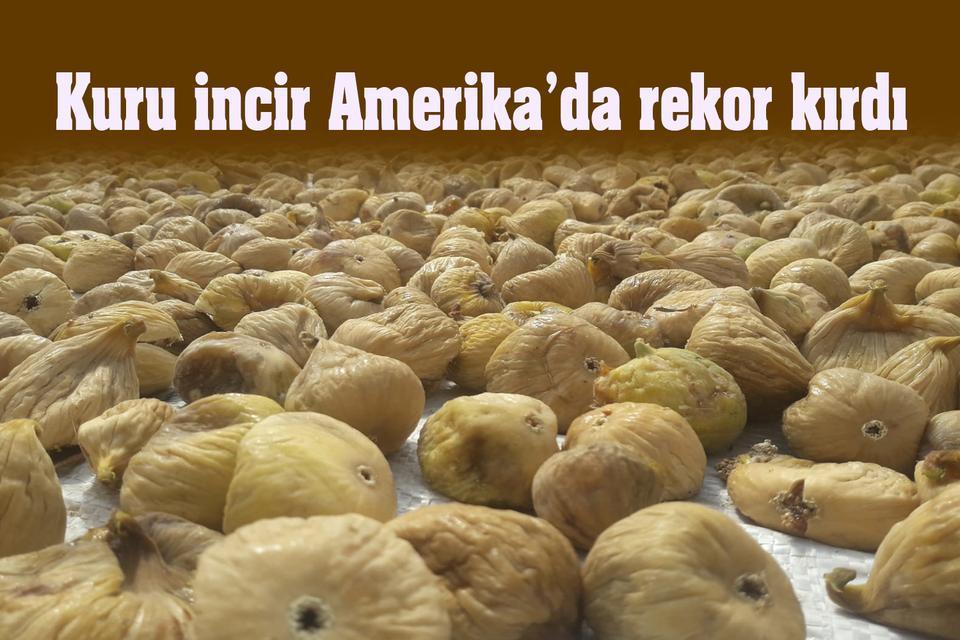 Türk kuru inciri Amerika’da rekor kırdı
