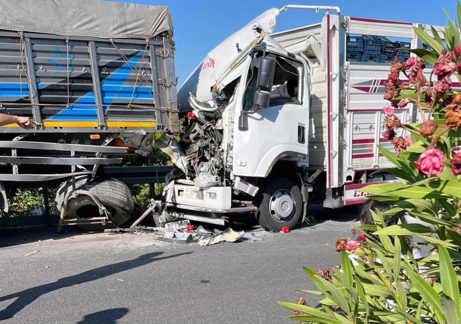 KÖYCEĞİZ'DEKİ KAZA ACARLAR'I YASA BOĞDU