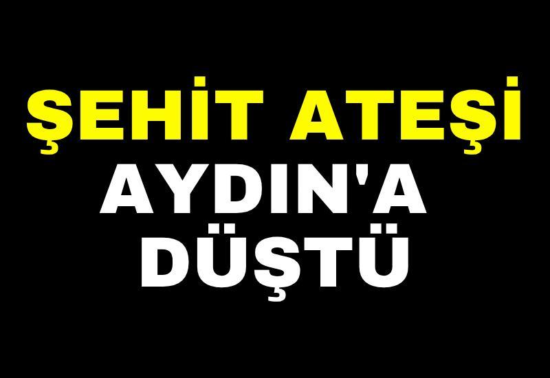 Şehit ateşi Aydın'a düştü