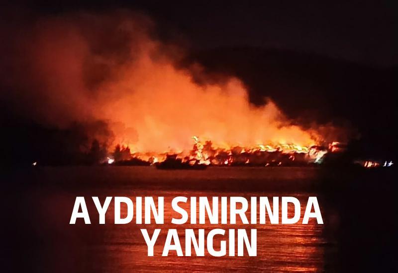 Aydın sınırında yangın çıktı