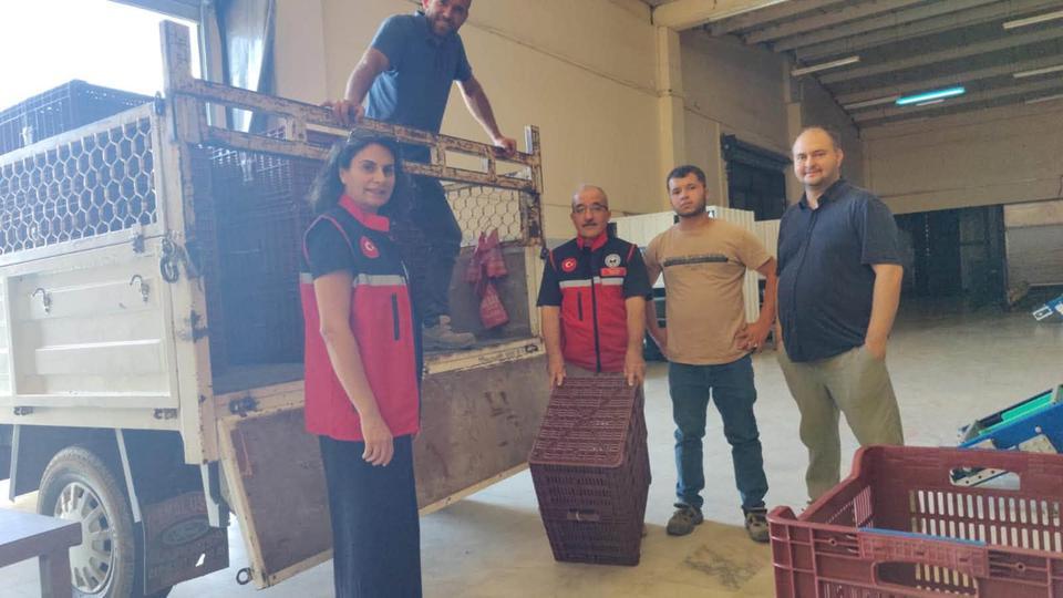 Aydın’da incir üreticisine yüzde 50 destek