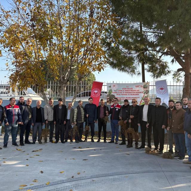 Koçarlı’da üreticiye  4 bin 330 adet incir fidanı dağıtıldı