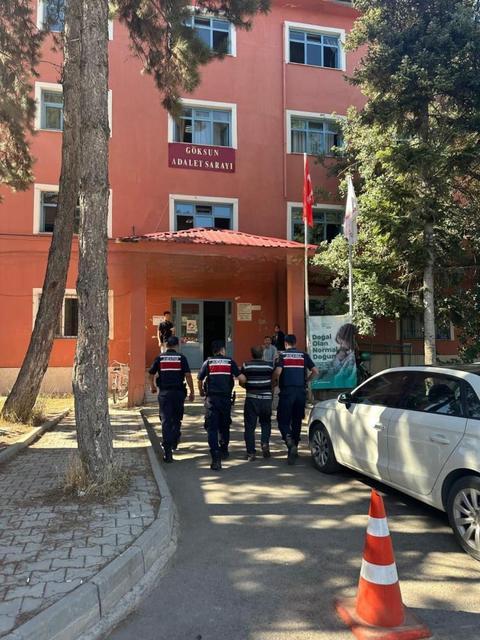 Orman yangınına neden olan şahıs yakalanıp tutuklandı