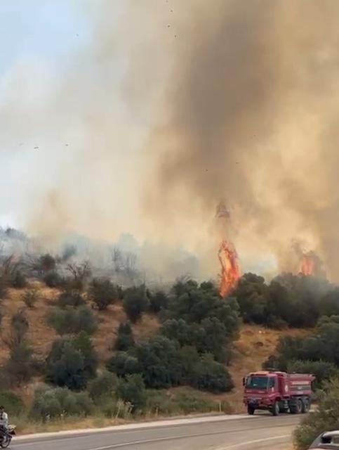 Karpuzlu’da yol kenarında çıkan yangın korkuttu